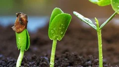 Course - The Basics of Reproduction: A Refresher Course