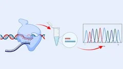 Course - Molecular Biology: Gene Expression Techniques and Cancer